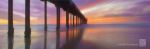 Symphony Of Light