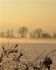 Ground fog