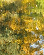Reflection