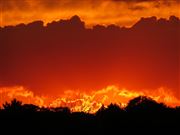 Summer sunset