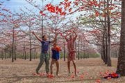 Joy Of Childhood 