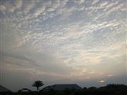 Mid Summer Evening