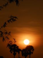 Sun Rise