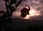 Sky On Flower 