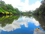 Reflection On The Water