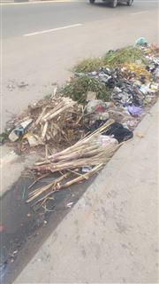 Animal In Love, Refuse Dumping My State