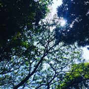 Brighter