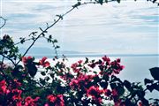 Depth Of Beauty