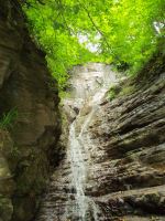 Cascade