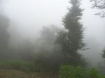 Fog