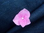Tiny Flower