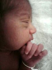 New Born