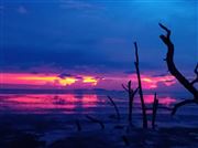 Sky's Love Towards Sea