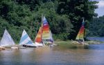 Sails Among The Trees 