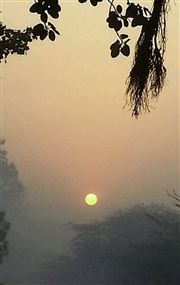 Travel Along Path 