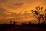 The Dusk