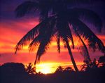 Sunset In Barbados