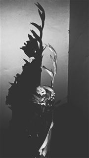 Shadows