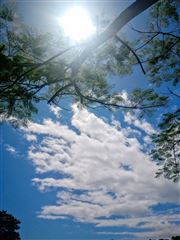 A Sunny Day 