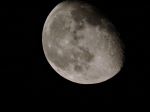 Charm Of Night Moon