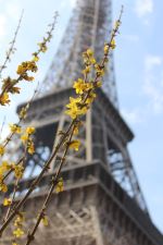 Tour Eiffel