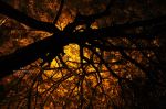 Night Photography