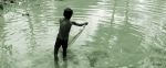 Fishing With Net