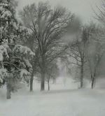 The Perfect Storm
