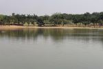 Trees All Around The Lake 