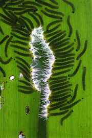 Babies It's Your Lunch Time