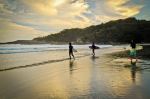 Dreaming Surf