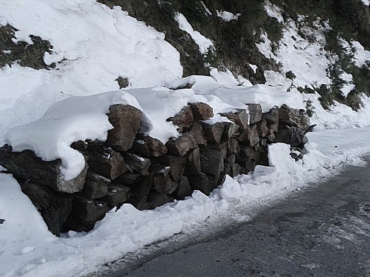 Cotton Soft Ice Covered Logs