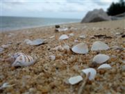 Beach Of Teluk Bidara