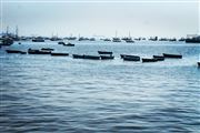Beautiful Sea With Lots Of Boats