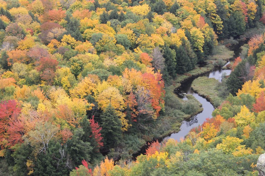 Lake Of The Clouds Fall Colors
