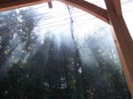 Light