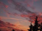 Patterns In The Pink Sky
