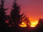 Summer Sunset