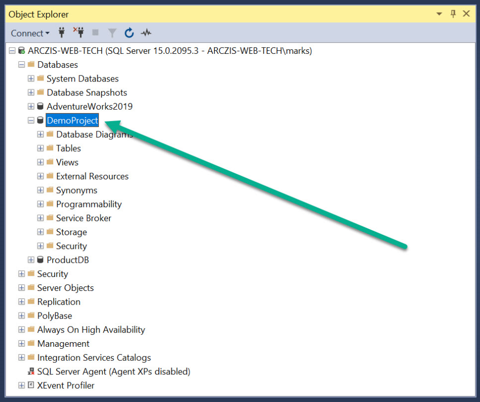The DemoProject Database