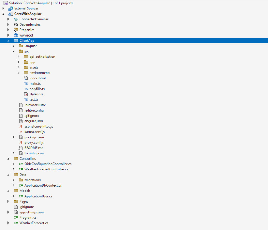 ASP.NET Core Angular Project Template