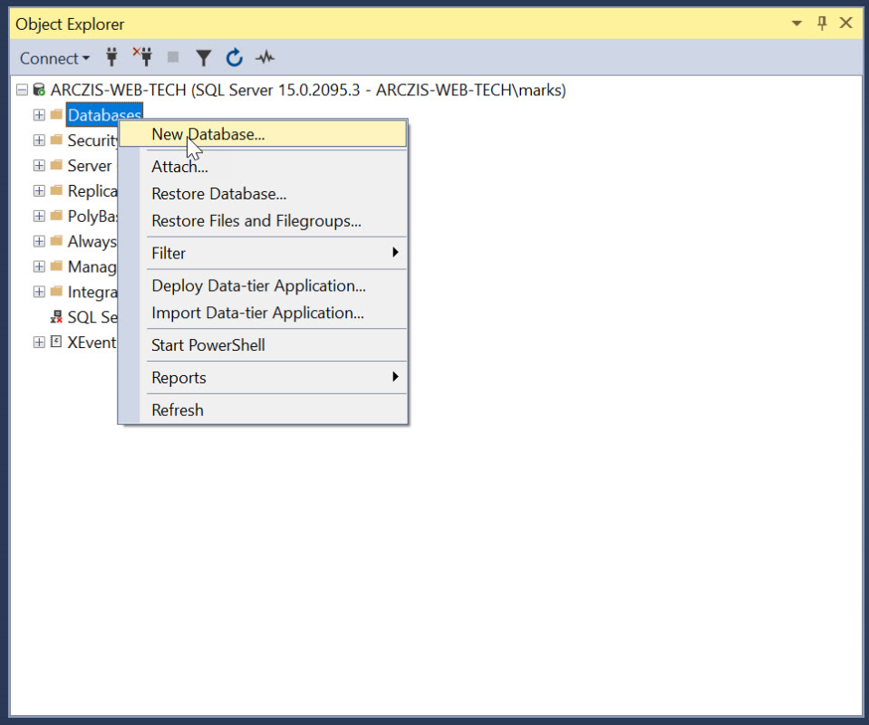 Right-click on the Databases object